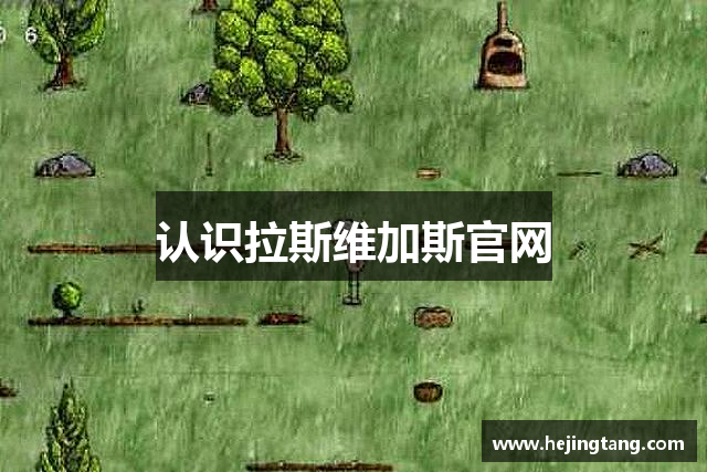 认识拉斯维加斯官网